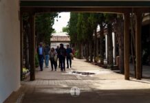 Tomelloso honra a sus difuntos en un emotivo Día de Todos los Santos