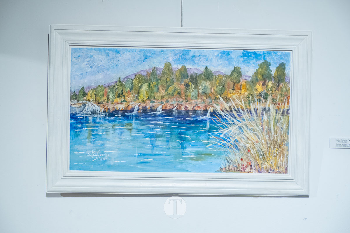 “La vida en colores” da voz al talento y la experiencia de las mayores de Tomelloso