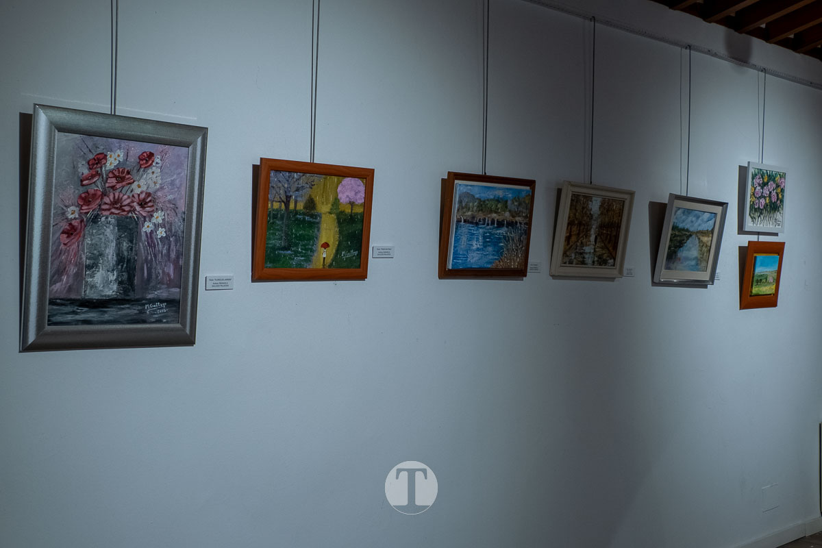 “La vida en colores” da voz al talento y la experiencia de las mayores de Tomelloso