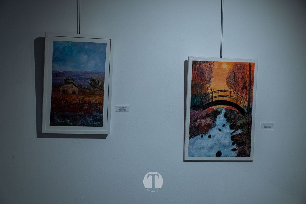 “La vida en colores” da voz al talento y la experiencia de las mayores de Tomelloso