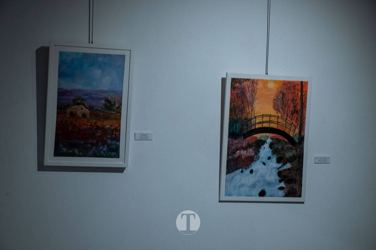 “La vida en colores” da voz al talento y la experiencia de las mayores de Tomelloso