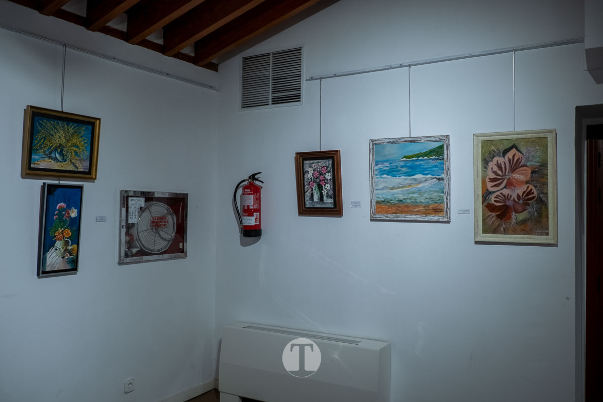 “La vida en colores” da voz al talento y la experiencia de las mayores de Tomelloso