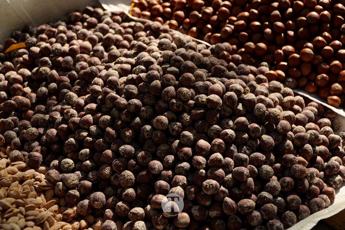 Tomelloso honra a sus difuntos en un emotivo Día de Todos los Santos