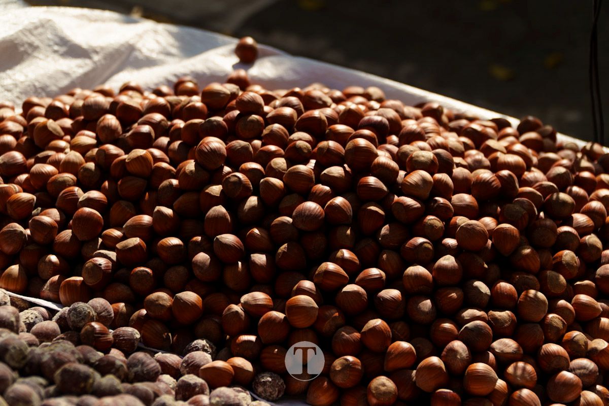 Tomelloso honra a sus difuntos en un emotivo Día de Todos los Santos