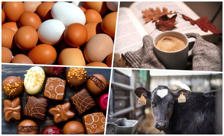 Huevos, café, chocolate y carne de vacuno disparan sus precios en lo que va de año
