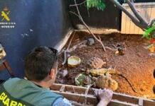 Desmantelado un falso refugio con cerca de 500 animales exóticos protegidos