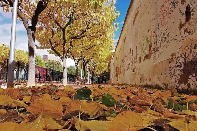 Noviembre: entre la rutina y la realidad que no queremos ver