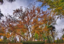 En los recovecos del parque