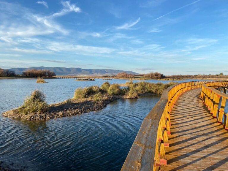 Ecologistas alertan de la aparición de gripe aviar en las Tablas de Daimiel y piden revisar la gestión del parque