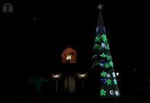 El árbol del Barrio San José