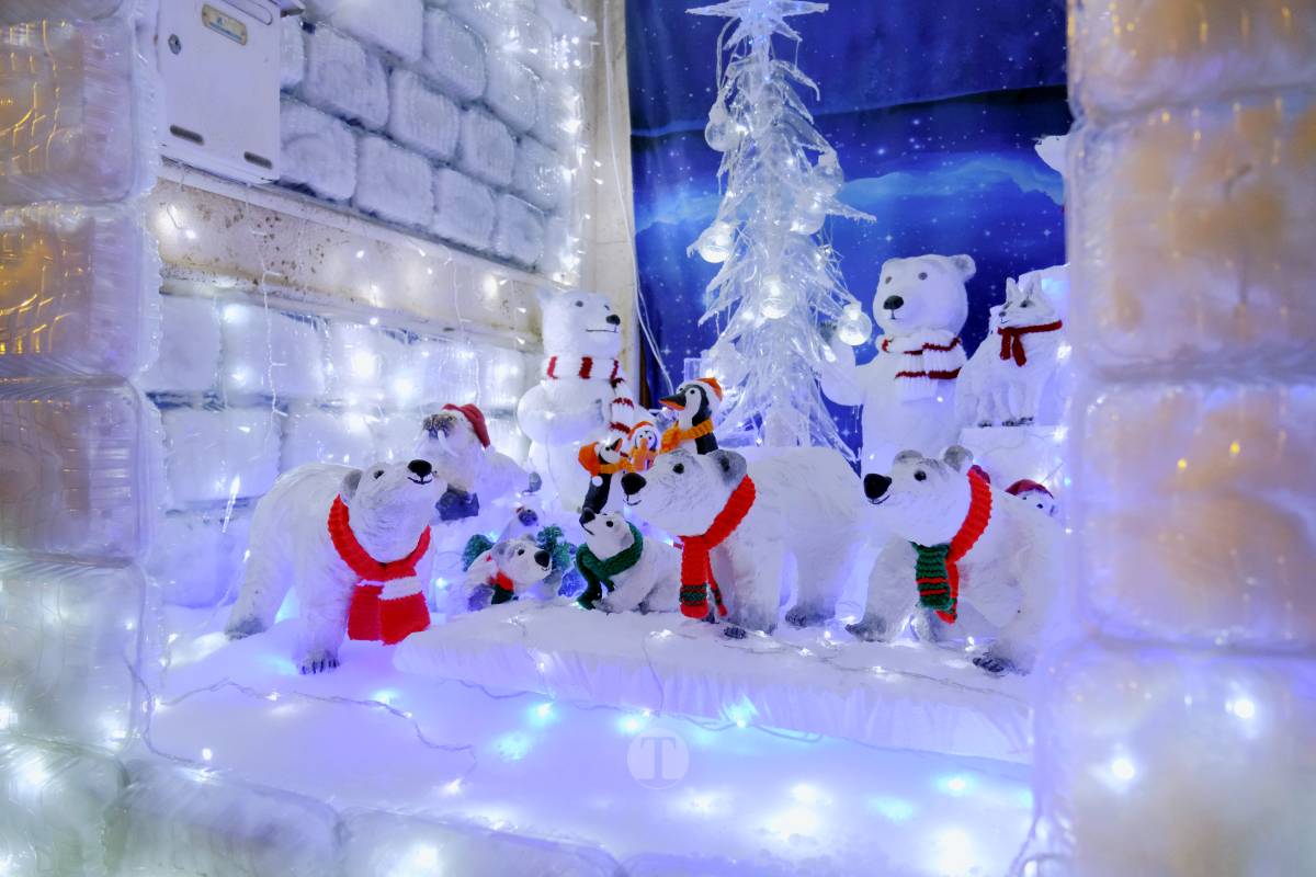 Tomelloso se ilumina en Navidad: acompáñanos en este recorrido por las fachadas decoradas de concurso