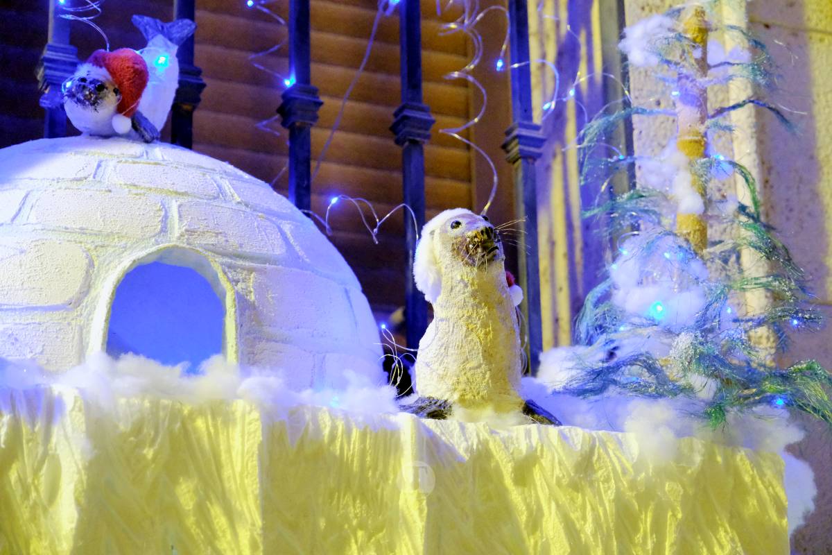 Tomelloso se ilumina en Navidad: acompáñanos en este recorrido por las fachadas decoradas de concurso