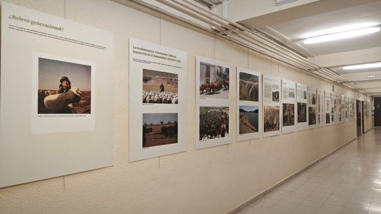 El IES Eladio Cabañero de Tomelloso acoge una exposición que pone en valor la transhumancia