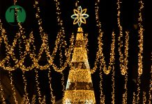 Feliz Navidad y felices fotos