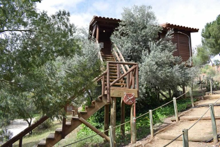 El auge del oleoturismo impulsa el desarrollo rural: Castilla-La Mancha apuesta por experiencias únicas entre olivos