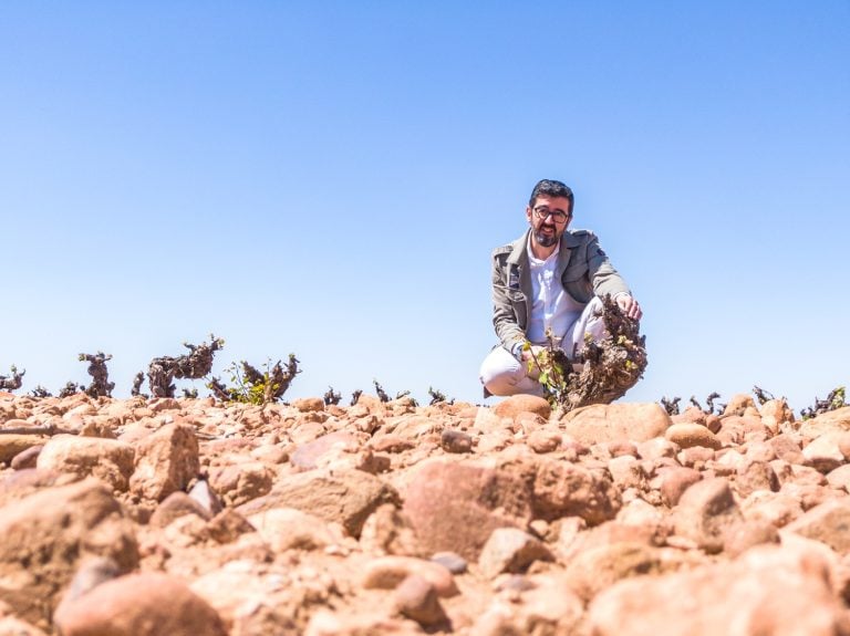 Nace la Guía de Vinos de Castilla-La Mancha 2025, acompañada por el lanzamiento de una nueva web