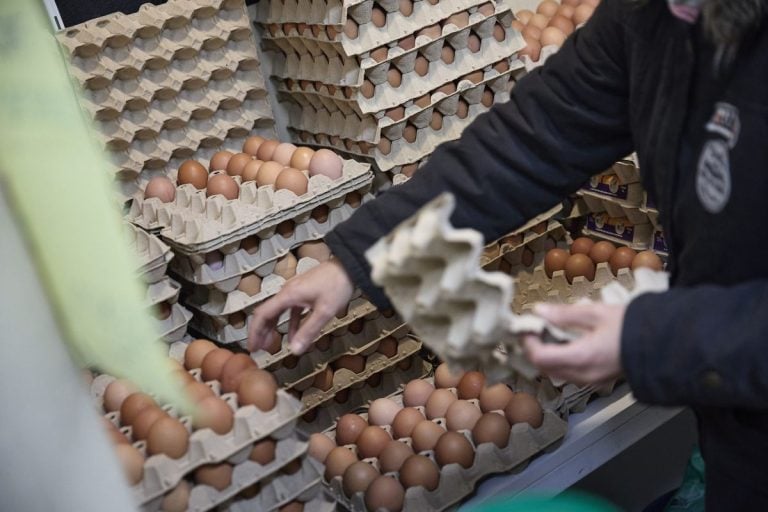 Huevos, café, carne de vacuno y chocolate disparan sus precios en lo que va de año