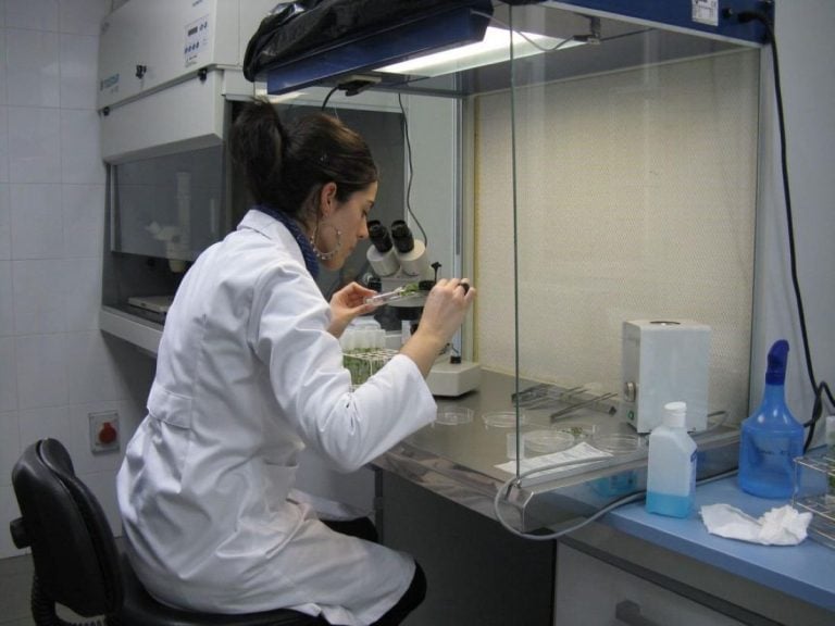 El Iriaf convoca nuevas plazas en el marco de proyectos específicos de I+D