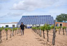 Las ayudas para jóvenes agricultores e inversiones de modernización de explotaciones podrán pedirse hasta el 5 de marzo