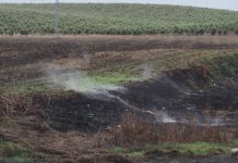 Vuelven a arder las turbas en el cauce del río Guadiana, cerca de Las Tablas de Daimiel
