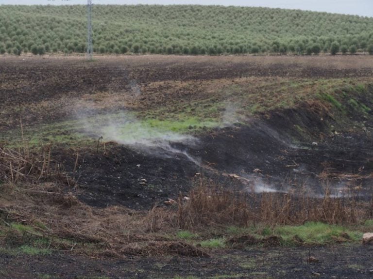 Vuelven a arder las turbas en el cauce del río Guadiana, cerca de Las Tablas de Daimiel