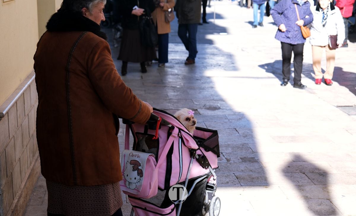 Tomelloso mantiene viva la tradición de San Antón con la bendición de animales y gran participación vecinal