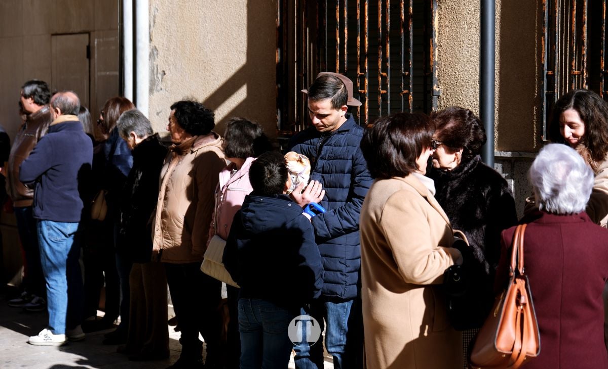 Tomelloso mantiene viva la tradición de San Antón con la bendición de animales y gran participación vecinal
