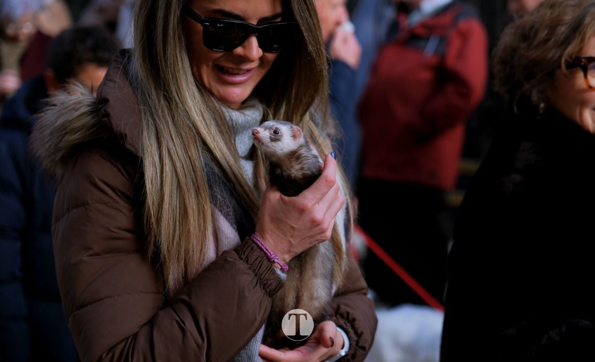 Tomelloso mantiene viva la tradición de San Antón con la bendición de animales y gran participación vecinal