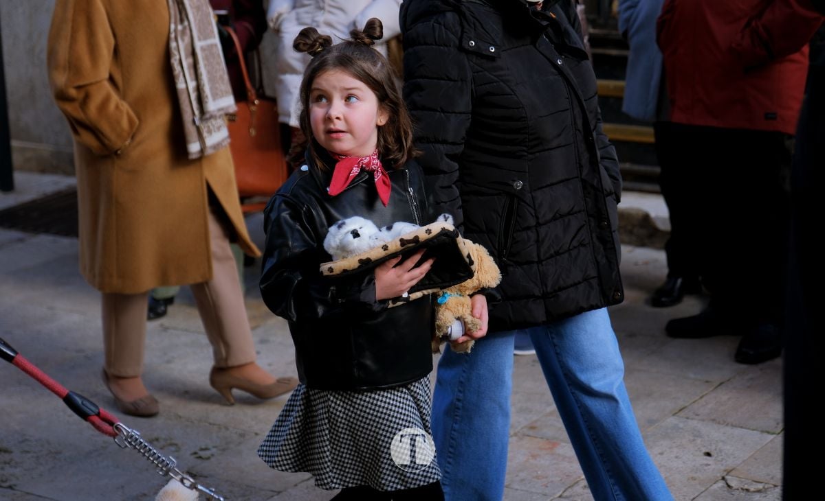 Tomelloso mantiene viva la tradición de San Antón con la bendición de animales y gran participación vecinal