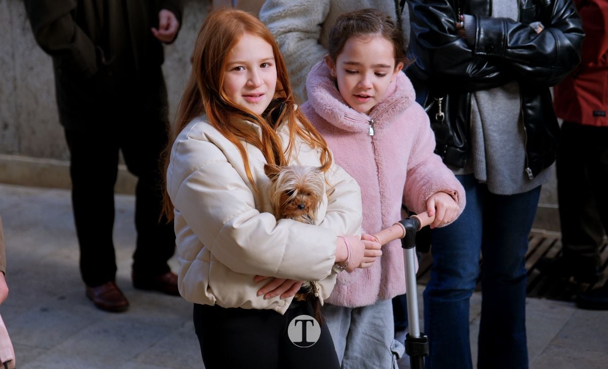 Tomelloso mantiene viva la tradición de San Antón con la bendición de animales y gran participación vecinal