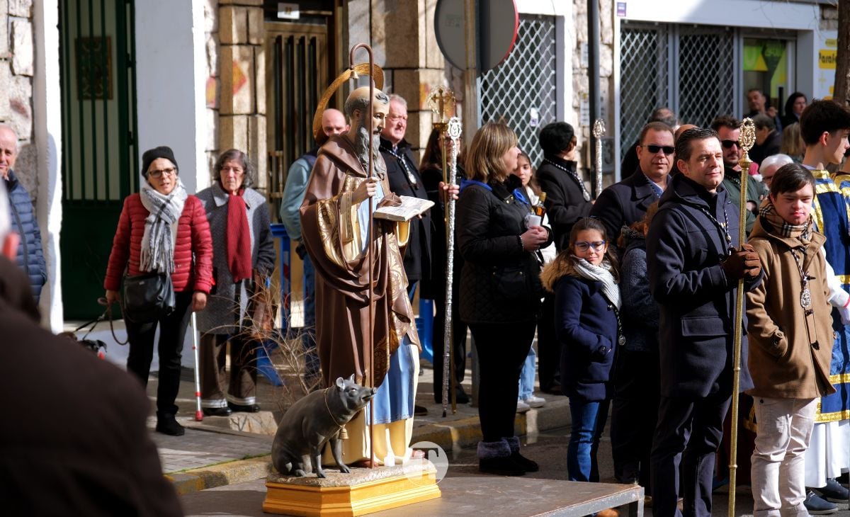Tomelloso mantiene viva la tradición de San Antón con la bendición de animales y gran participación vecinal