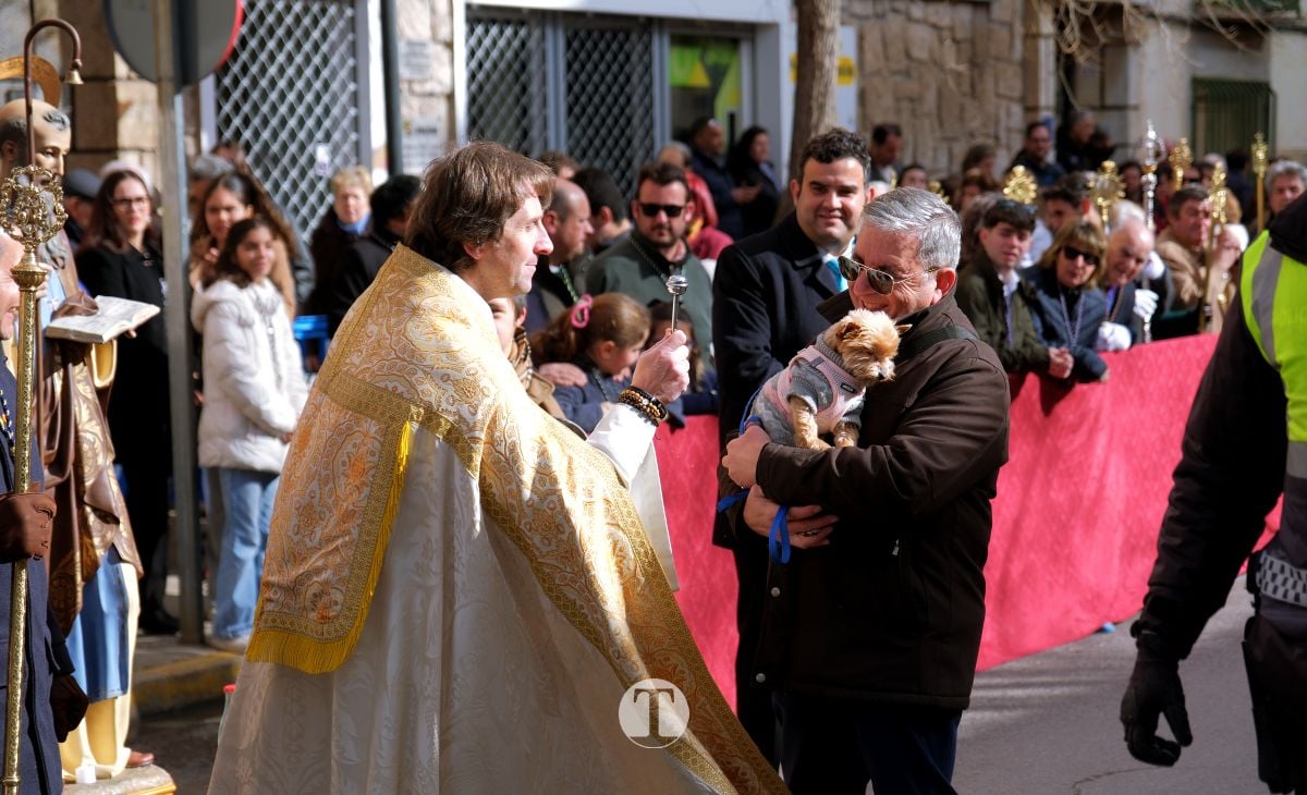 Tomelloso mantiene viva la tradición de San Antón con la bendición de animales y gran participación vecinal