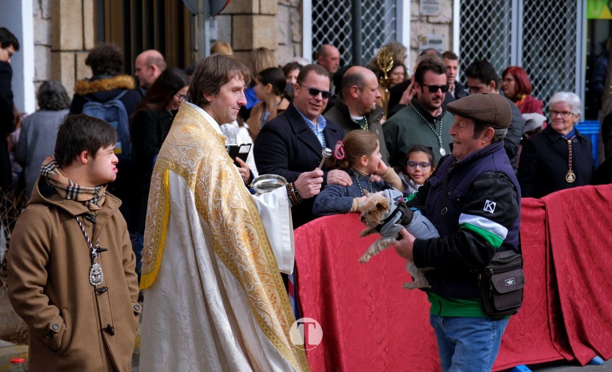 Tomelloso mantiene viva la tradición de San Antón con la bendición de animales y gran participación vecinal