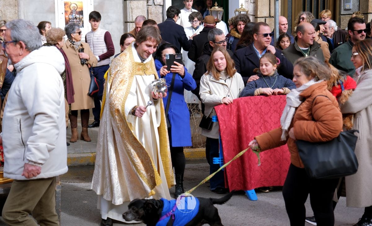 Tomelloso mantiene viva la tradición de San Antón con la bendición de animales y gran participación vecinal