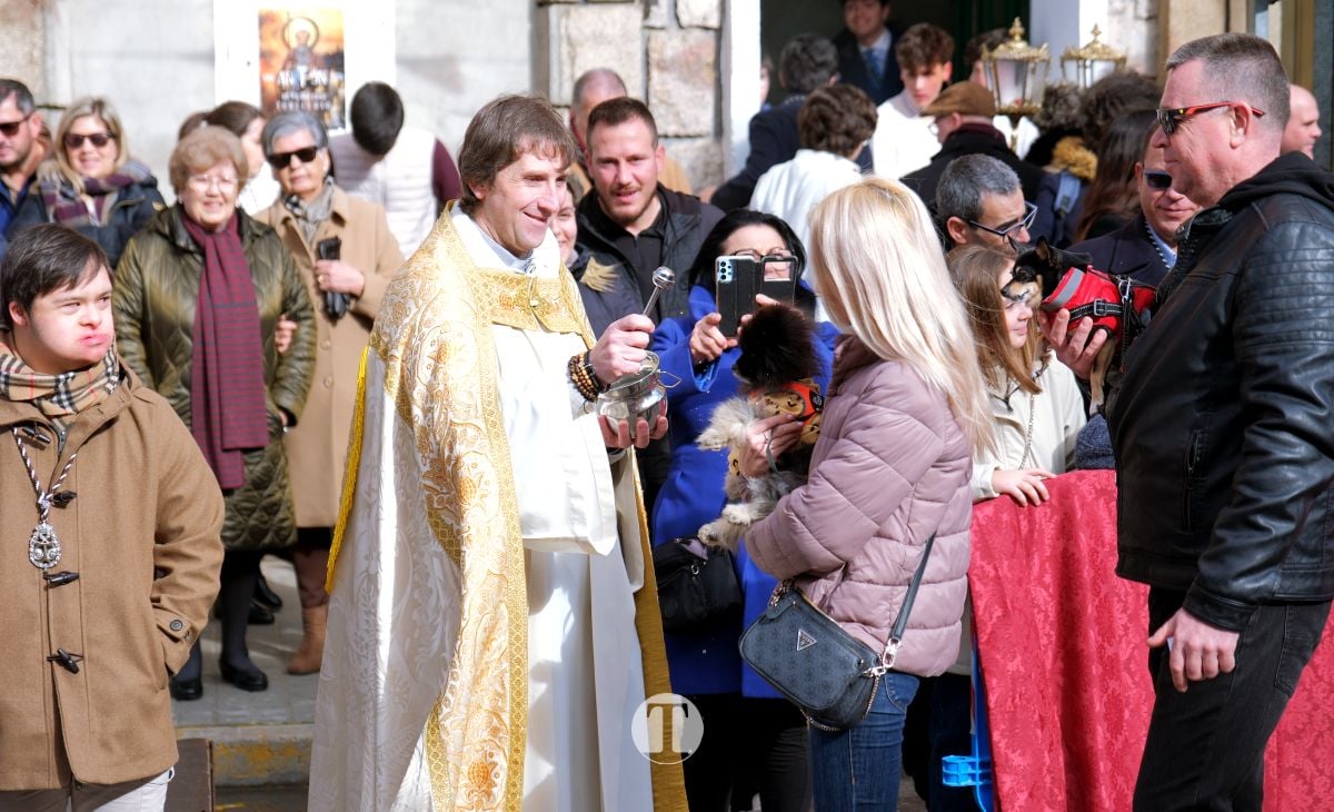 Tomelloso mantiene viva la tradición de San Antón con la bendición de animales y gran participación vecinal