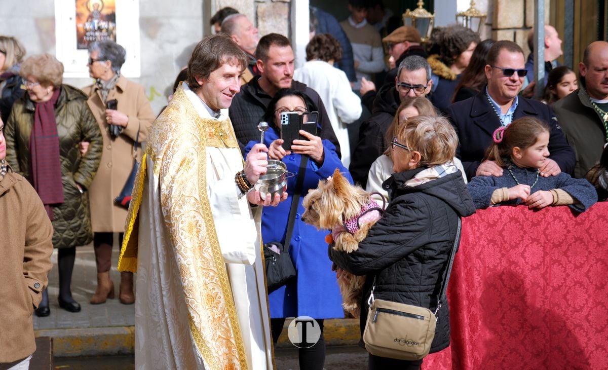 Tomelloso mantiene viva la tradición de San Antón con la bendición de animales y gran participación vecinal