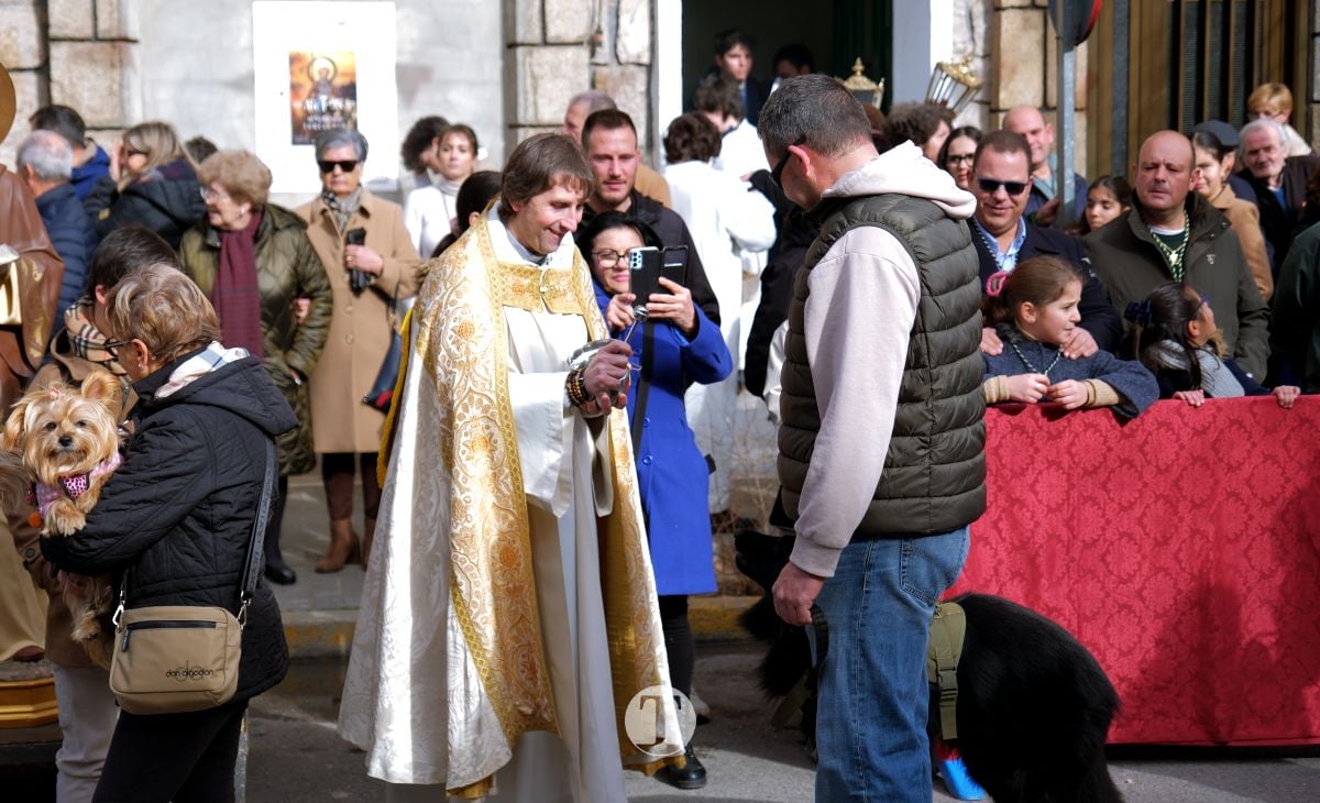 Tomelloso mantiene viva la tradición de San Antón con la bendición de animales y gran participación vecinal