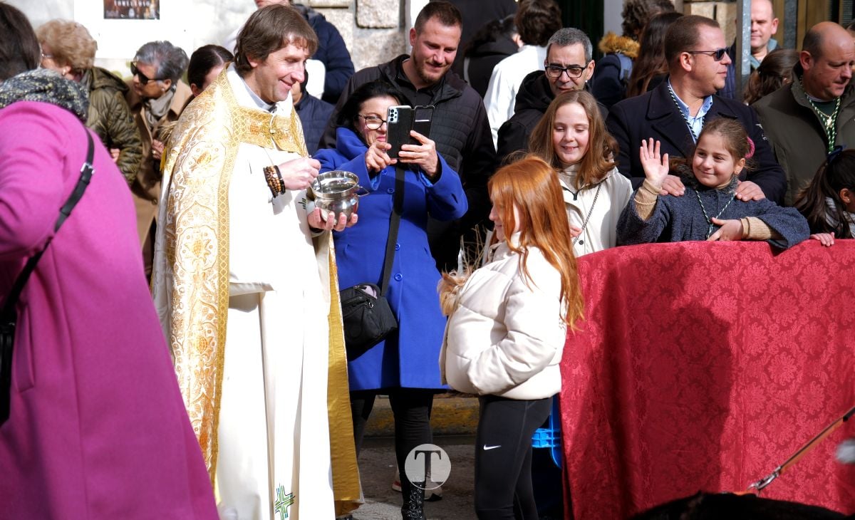 Tomelloso mantiene viva la tradición de San Antón con la bendición de animales y gran participación vecinal