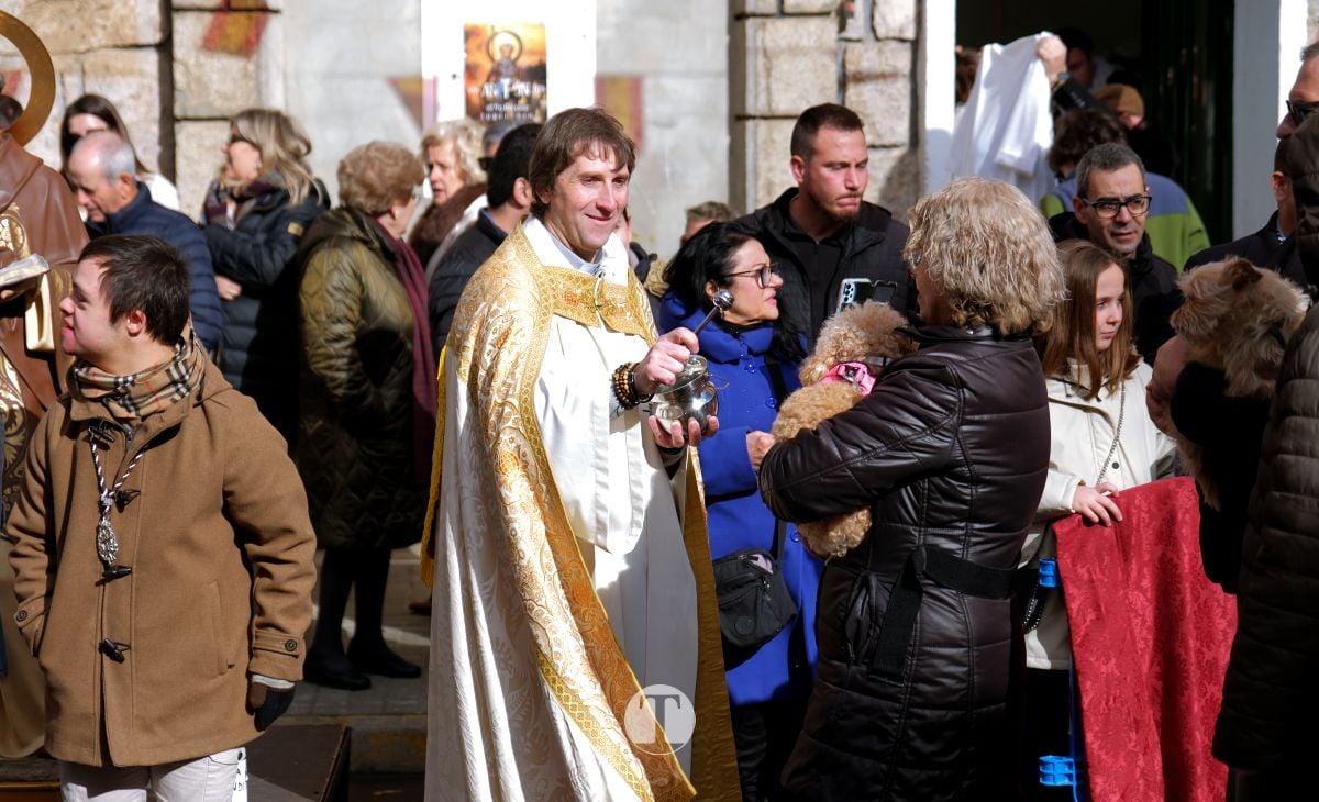 Tomelloso mantiene viva la tradición de San Antón con la bendición de animales y gran participación vecinal