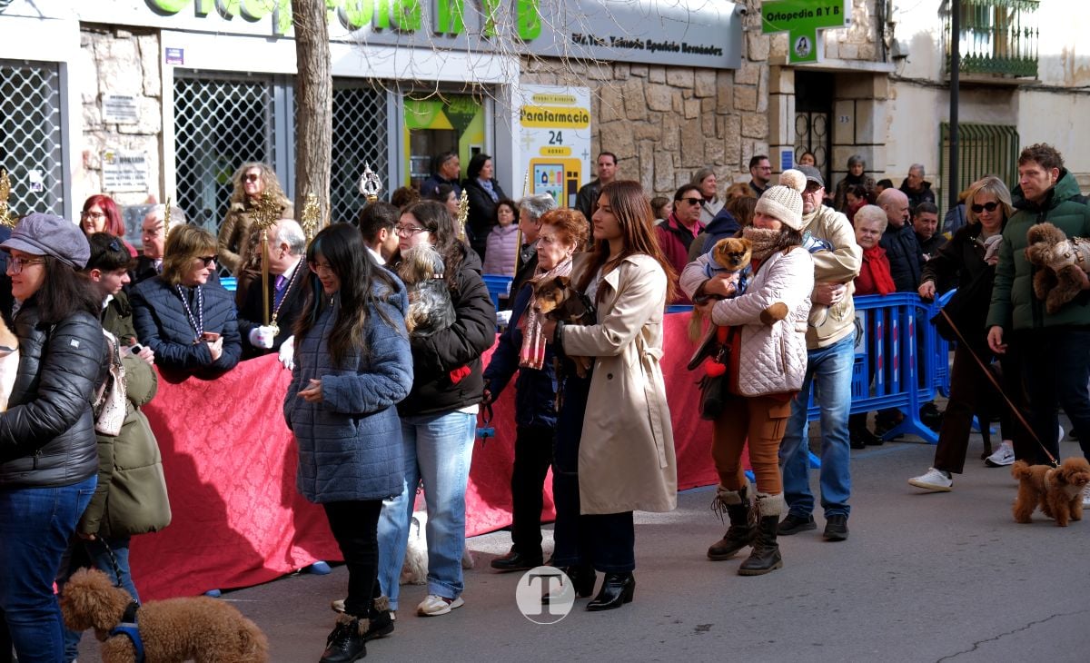 Tomelloso mantiene viva la tradición de San Antón con la bendición de animales y gran participación vecinal