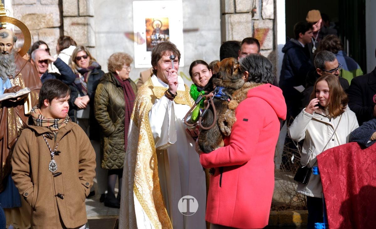 Tomelloso mantiene viva la tradición de San Antón con la bendición de animales y gran participación vecinal