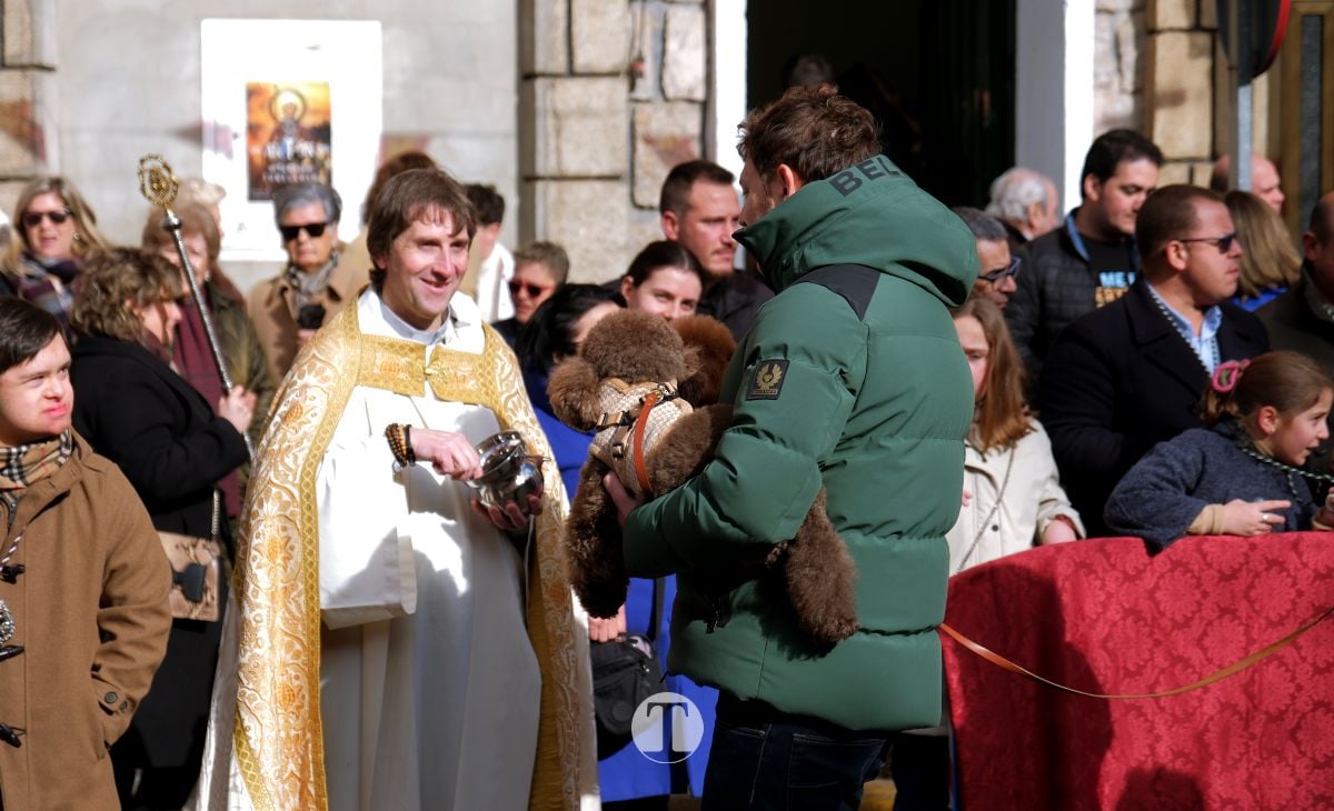 Tomelloso mantiene viva la tradición de San Antón con la bendición de animales y gran participación vecinal