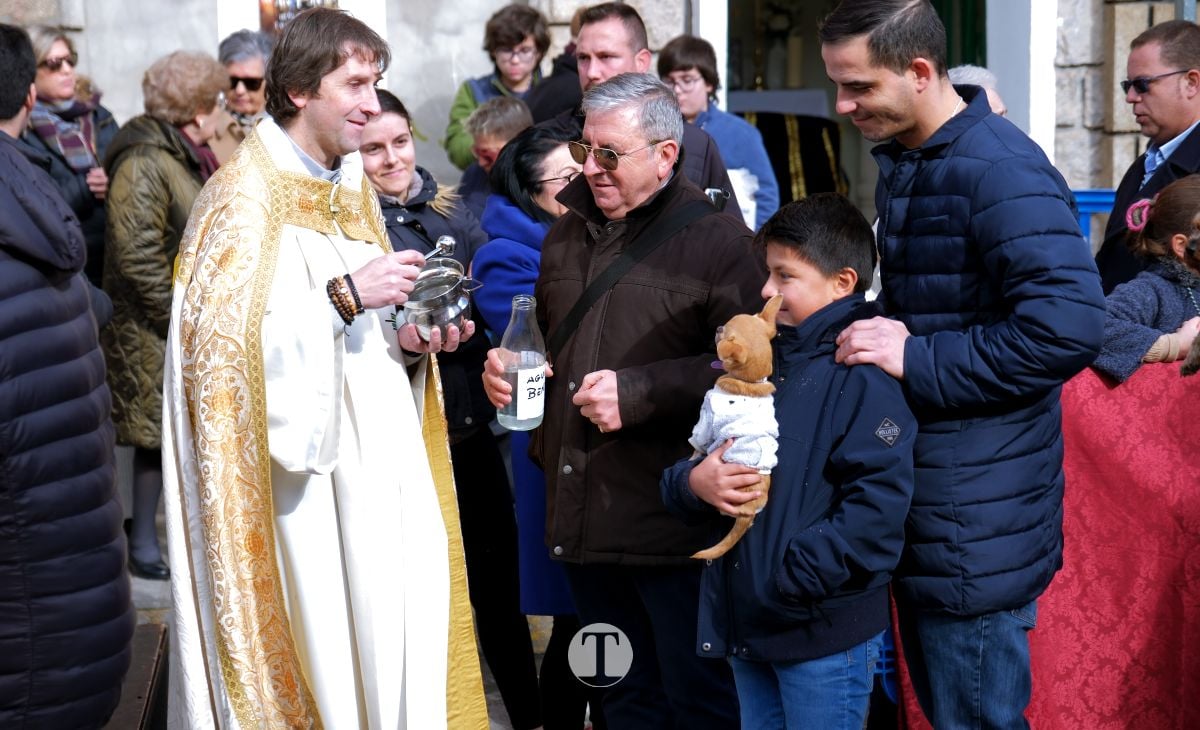 Tomelloso mantiene viva la tradición de San Antón con la bendición de animales y gran participación vecinal