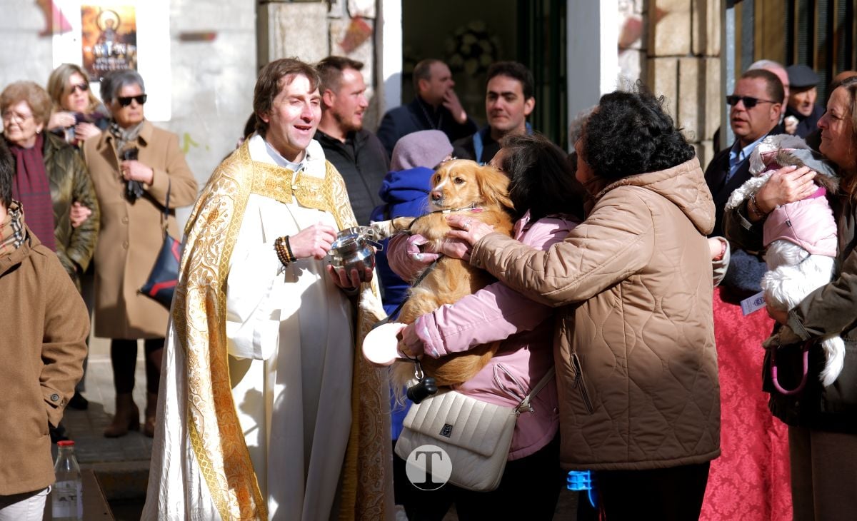 Tomelloso mantiene viva la tradición de San Antón con la bendición de animales y gran participación vecinal