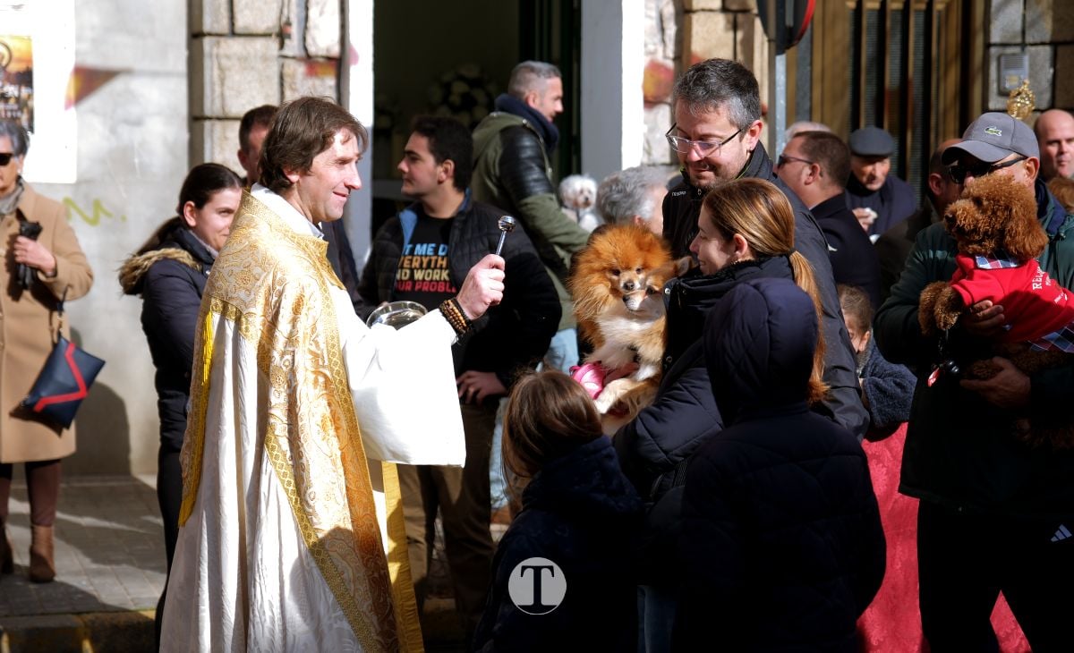 Tomelloso mantiene viva la tradición de San Antón con la bendición de animales y gran participación vecinal