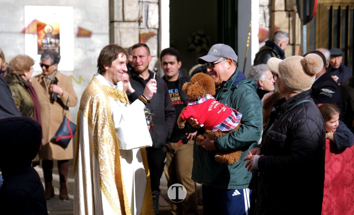 Tomelloso mantiene viva la tradición de San Antón con la bendición de animales y gran participación vecinal