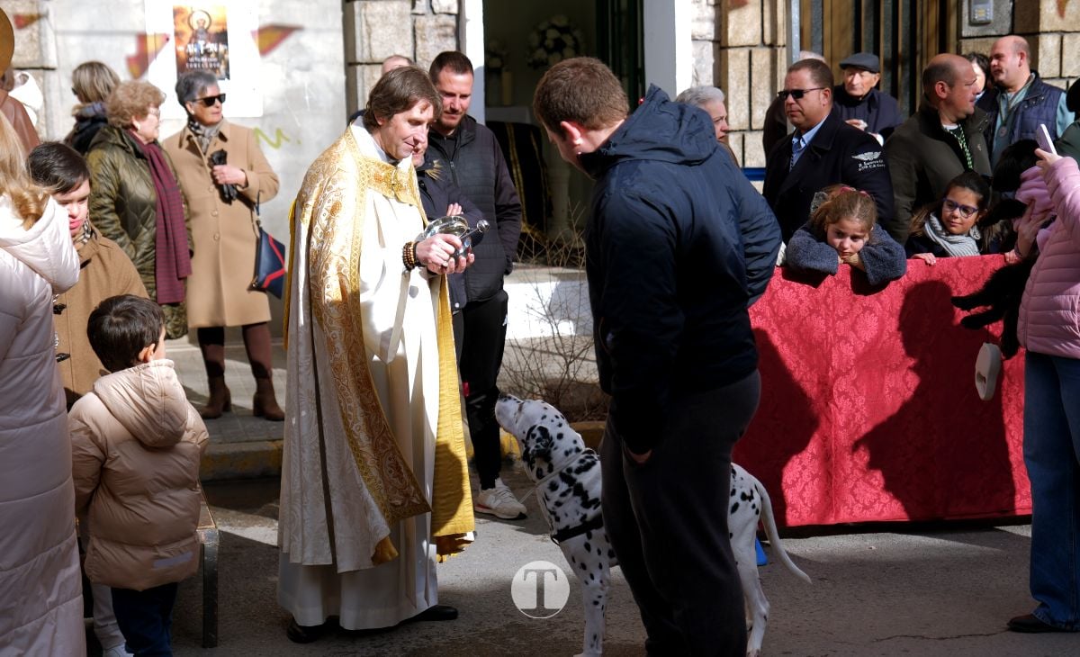 Tomelloso mantiene viva la tradición de San Antón con la bendición de animales y gran participación vecinal