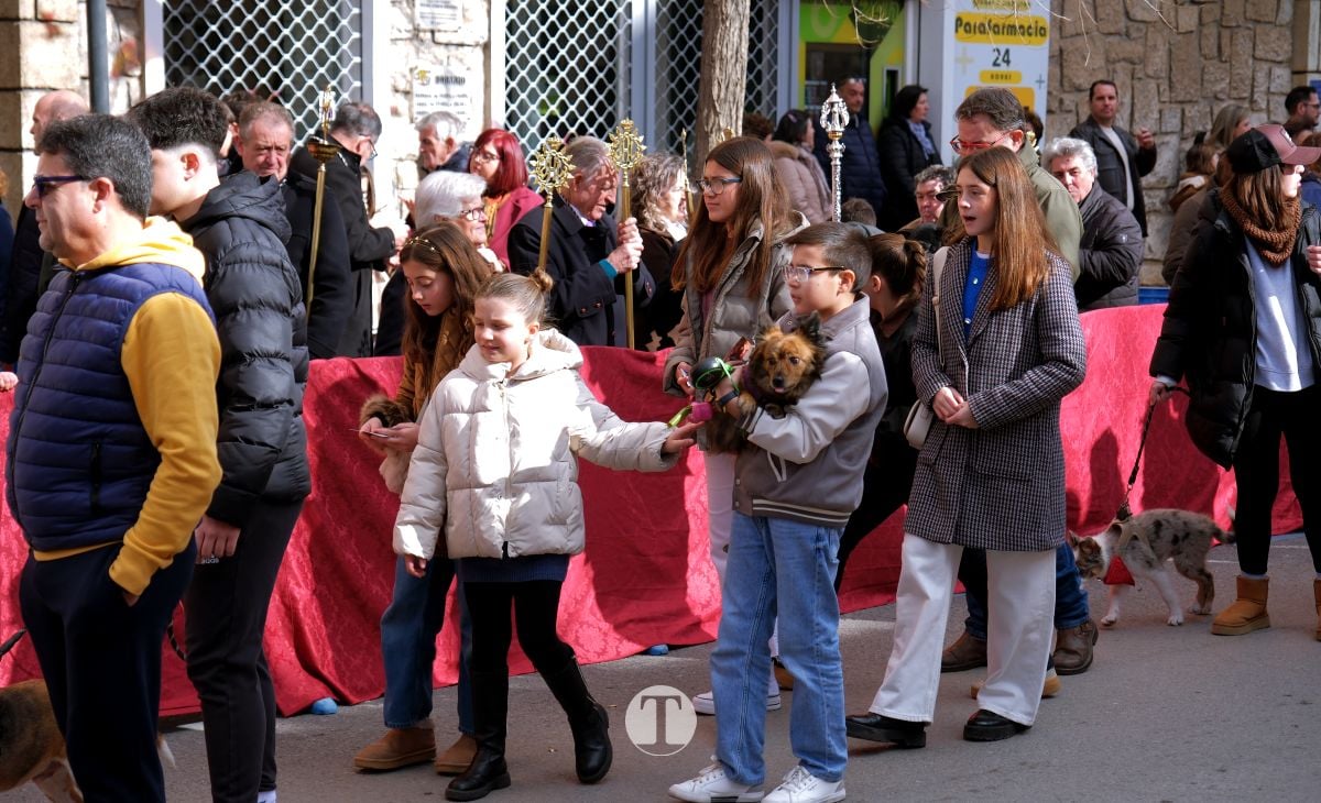 Tomelloso mantiene viva la tradición de San Antón con la bendición de animales y gran participación vecinal