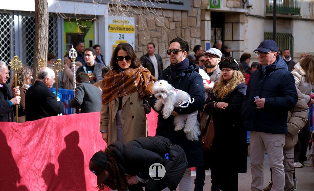 Tomelloso mantiene viva la tradición de San Antón con la bendición de animales y gran participación vecinal