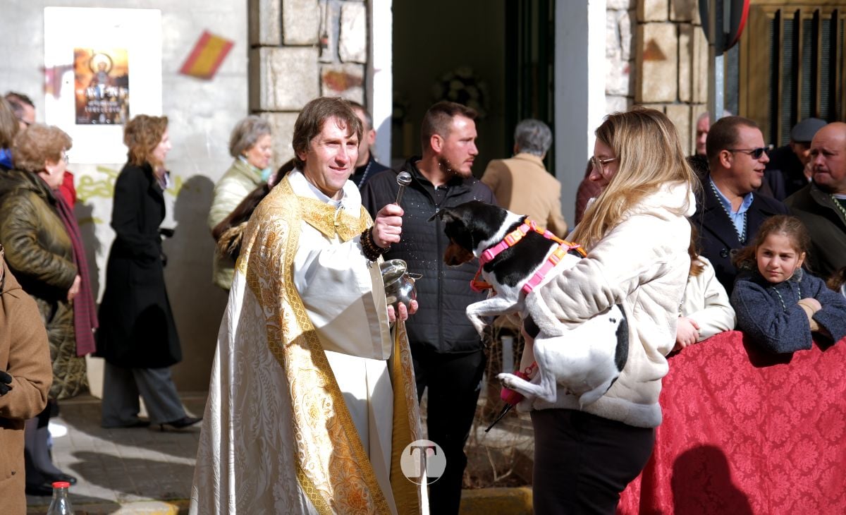 Tomelloso mantiene viva la tradición de San Antón con la bendición de animales y gran participación vecinal